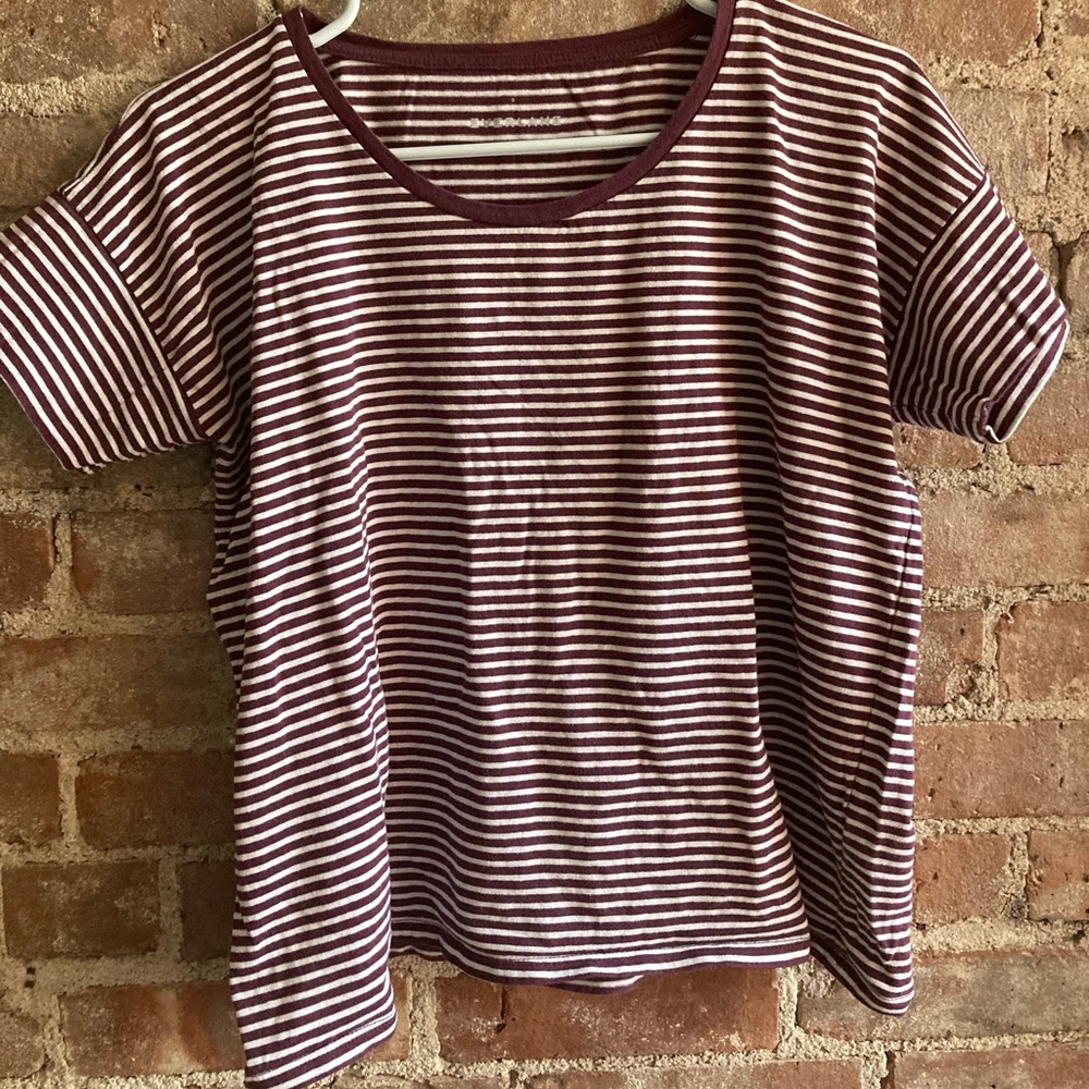 Everlane top